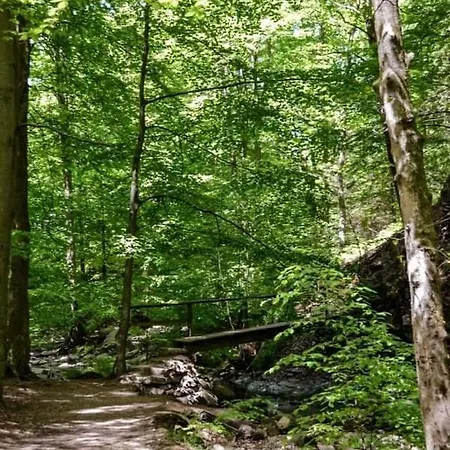 La Mara élo Couette-café