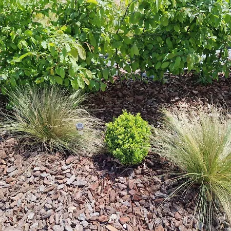 La Mara élo Sart-lez-Spa