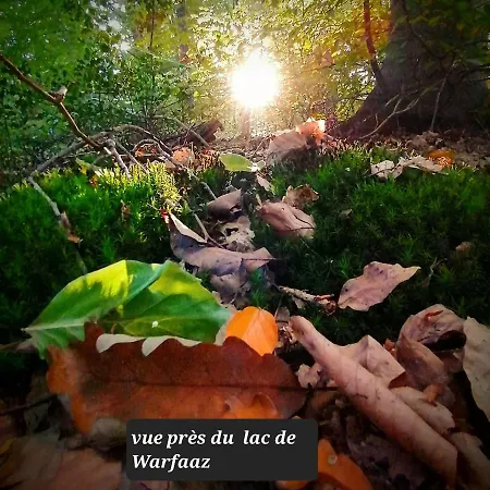 La Mara élo Sart-lez-Spa